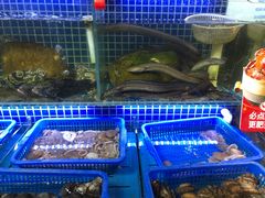 -必点海鲜·鲅鱼水饺(鞍山西道店)