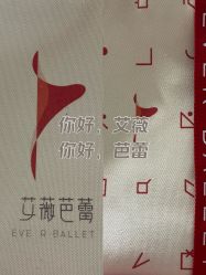 -艾薇芭蕾艺术中心