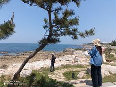 -养马岛旅游度假区