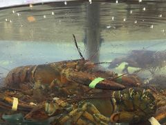 -抹直口特色菜馆(一店)