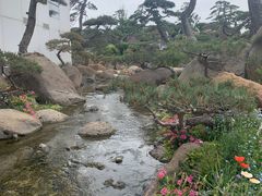 -罗红摄影艺术馆