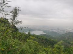 -南屏观音庙