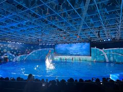 -海合安青岛极地海洋公园