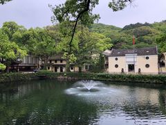 -枣子树·素食餐厅(普陀山店)