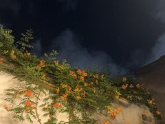 -文儒九号·闽菜馆(三坊七巷店)