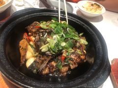 啫啫鲈鱼煲-千日贺茶餐厅(开发区安盛店)