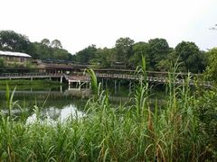 android_upload_pic-河川生态园