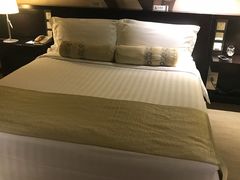 -国家会议中心大酒店