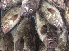 -抹直口特色菜馆(一店)