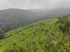 -灵山
