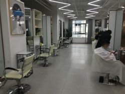 -蚂蚁造型沙龙