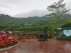 -东部华侨城