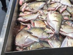 -红星农贸市场(红星东路店)