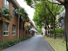 -上海财经大学(国定路校区)