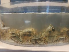 -海天盛宴新派海鲜自助餐厅(群力店)