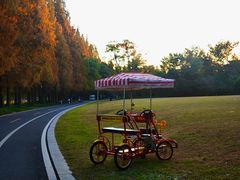 -采石矶景区