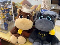 -北京世纪金源购物中心(远大路店)