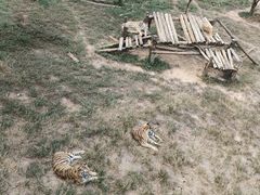 -泉州海丝野生动物世界