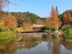 -云溪植物园