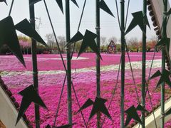 -石家庄市植物园