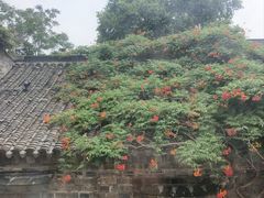-芥子园
