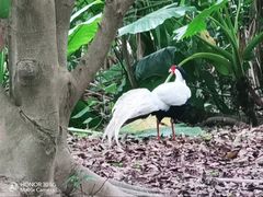 -福建鲤鱼洲酒店