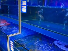 -粥堂里餐厅(城市御园店)