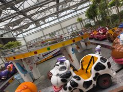 -南宫五洲植物乐园