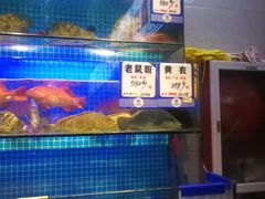 水产区-驻海渔市(置信店)
