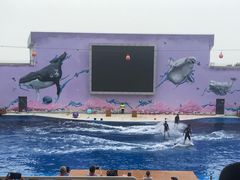 -北戴河圣蓝海洋公园