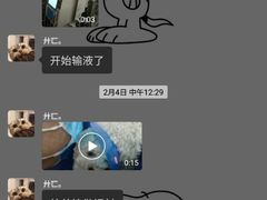 -伟伟宠物医院·CT影像中心·瑞派犬猫综合性门诊(汉口总院)