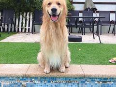 -汪说喵讲宠物乐园宠物酒店(红星美凯龙店)