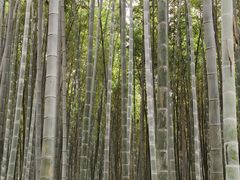 -同里国家湿地公园