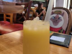 -more than meow吴止猫主题餐厅(承德 中船汇店)