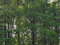 -苏州河梦清园环保主题公园