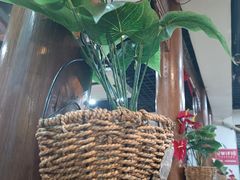 -宗泉烤全羊·烤羊腿·家常菜(解放东路店)