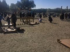 -大兴滨河森林公园