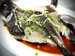 -罗记家常菜(鸿景花园店)