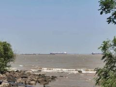 -上海吴淞炮台湾国家湿地公园