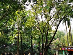 -晓港公园