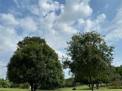 -重庆中央公园(渝北区)