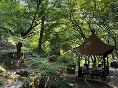 -莫干山风景区