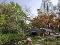 -白马涧龙池景区