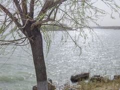 -天津东丽湖风景区