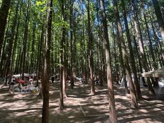 -山王坪喀斯特国家生态公园