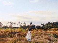 -鹤之洲湿地公园