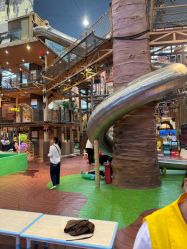 -卡通尼·Safari非洲探索乐园·生日会(金桥国际商业广场店)