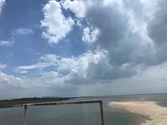 -北海金海湾红树林生态旅游区