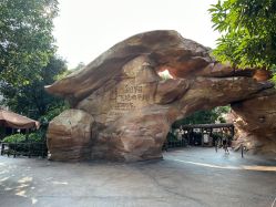 -翱翔飞越地平线