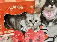-鱼上·烤鱼(万象城店)